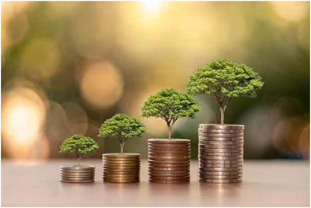 What are carbon credit banks and how do they support sustainability goals?